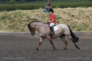 ISIS Dressage Challenge 2008